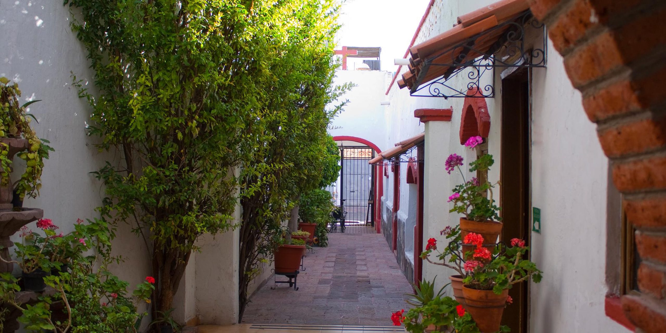 Escuela de idiomas en Querétaro