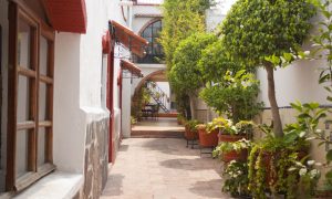 Escuela para aprender mandarin en Querétaro
